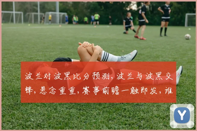 波兰对波黑比分预测,波兰与波黑交锋,悬念重重,赛事前瞻一触即发,谁将笑到最后